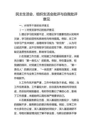 民主生活会、组织生活会批评与自我批评意见3000字