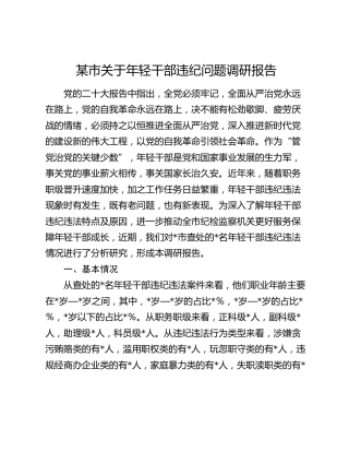 市关于年轻干部违纪问题调研报告
