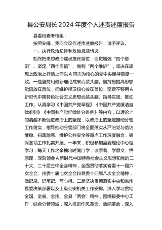 县公安系统领导述责述廉报告（3400字）