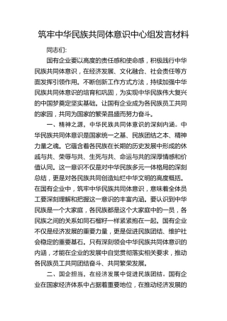 筑牢中华民族共同体意识中心组发言（公司）