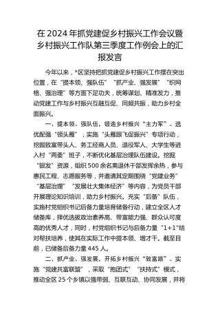 在抓党建促乡村振兴工作会议暨乡村振兴工作队第三季度工作例会上的汇报发言