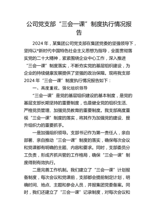 公司党支部“三会一课”制度执行情况总结报告2800字