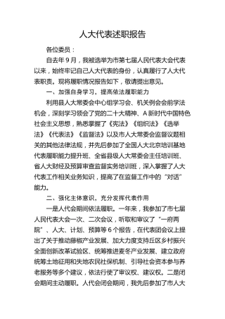 人大代表述职报告