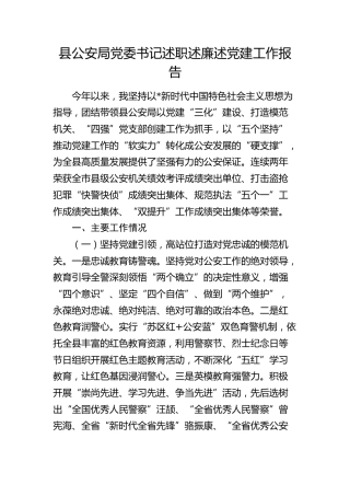 县公安系统2024年述职述廉述党建工作报告2400字