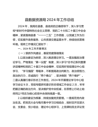 县数据资源局2024年工作总结