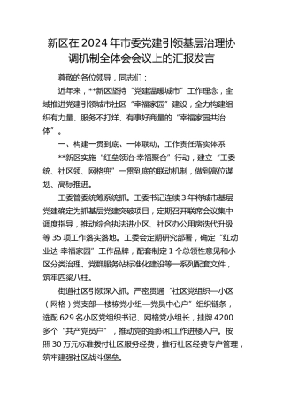新区在市委党建引领基层治理协调机制全体会会议上的汇报发言