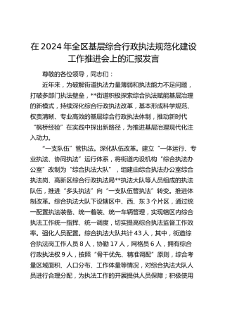 在全区基层综合行政执法规范化建设工作推进会上的汇报发言