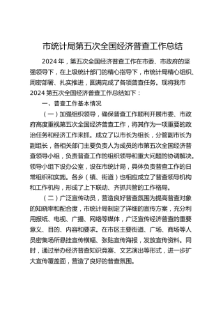 市统计局第五次全国经济普查工作总结