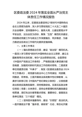政法委2024年落实全面从严治党主体责任工作情况总结报告2100字