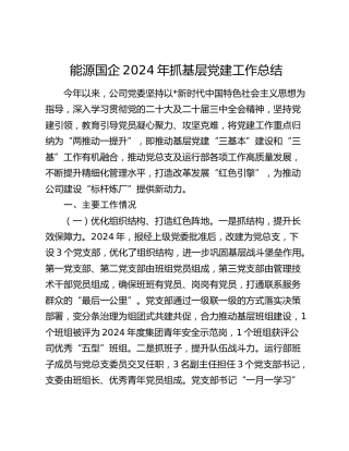 公司2024年抓基层党建工作总结3500字