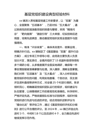 基层党组织建设典型经验（乡镇党建经验）