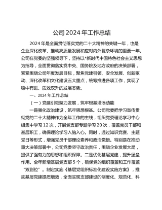 国企公司2024年工作总结2