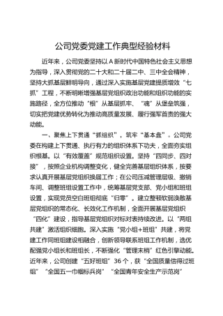 公司党委党建工作典型经验