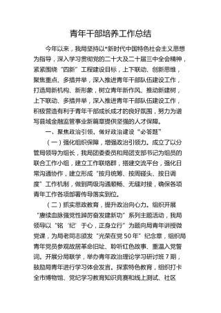 青年干部培养工作总结