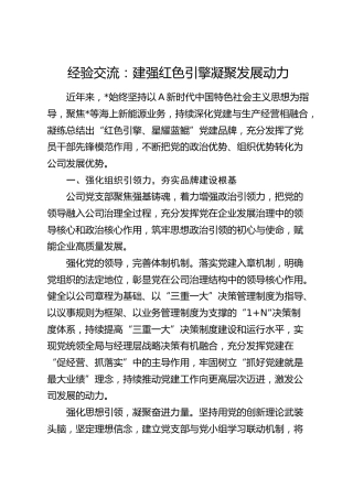 经验交流：建强红色引擎 凝聚发展动力（发言）