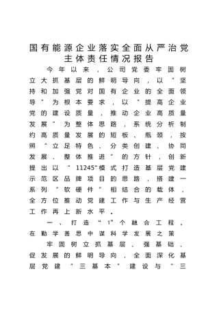 国企公司度落实全面从严治党主体责任情况报告（6100字总结）