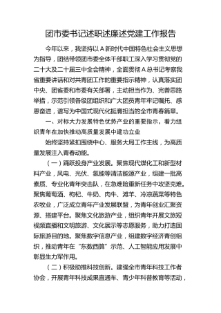 团市委书记述职述廉述党建工作报告2900字