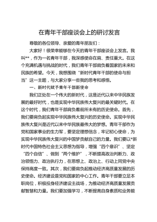 在青年干部座谈会上的研讨发言4