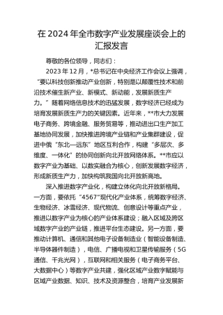 全市数字产业发展座谈会上的汇报发言