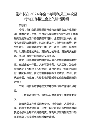 副市长在2024年全市禁毒防艾三年攻坚行动工作推进会上的讲话
