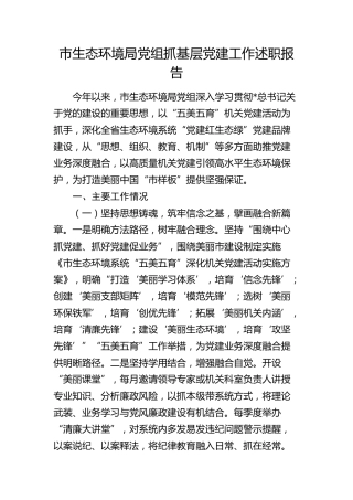 2024年抓党建述职报告（生态环境2800字）