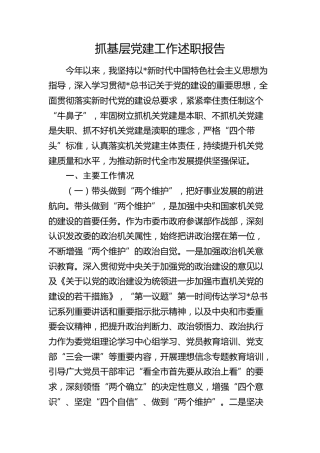 市发改委书记2024年抓党建工作述职报告3700字