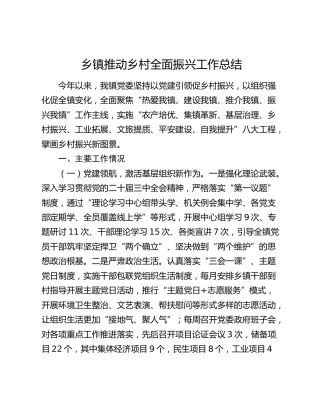 乡镇推动乡村全面振兴工作总结