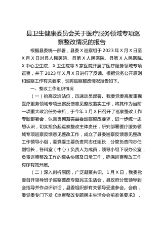 县卫健委关于医疗服务领域专项巡察整改情况的报告