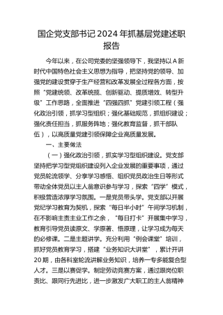 国企公司2024年书记抓党建述职报告3000字