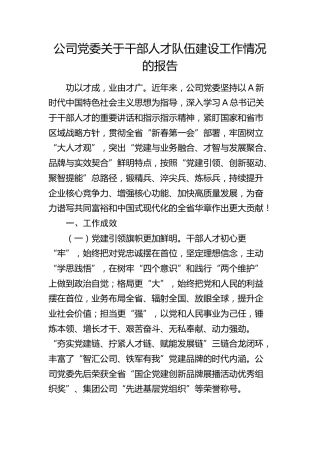 公司干部人才队伍建设工作情况报告2