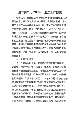 团市委书记2024年述法工作报告2600字