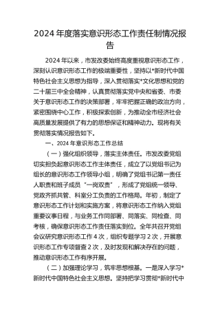 2024年落实意识形态工作责任制情况总结报告（发改3000字）