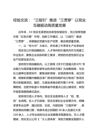 经验交流：“三指引”推进“三贯穿” 以党业互融驱动高质量发展（发言）