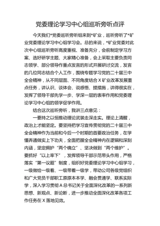 中心组巡听旁听点评