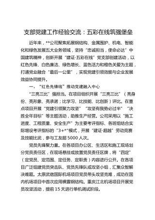 公司支部党建工作经验交流：五彩在线 筑强堡垒