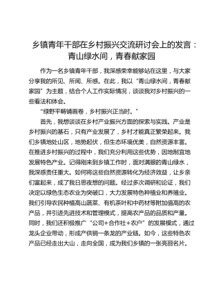 乡镇青年干部在乡村振兴交流研讨会上的发言