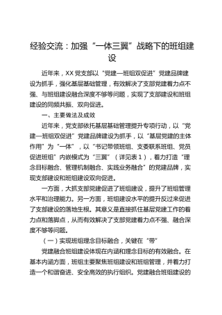 经验交流：加强“一体三翼”战略下的班组建设（发言）
