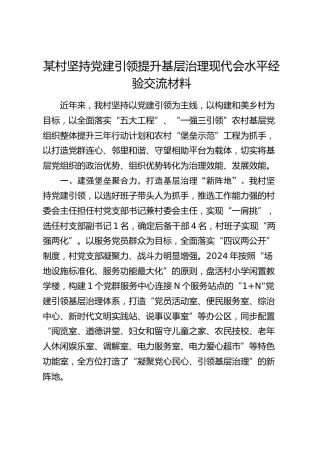 村（社区）坚持党建引领提升基层治理现代会水平经验交流发言