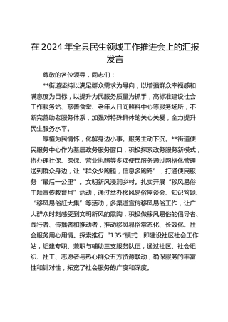 在全县民生领域工作推进会上的汇报发言
