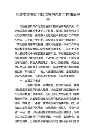 纪委监委推动纪检监察信息化工作情况报告2800字