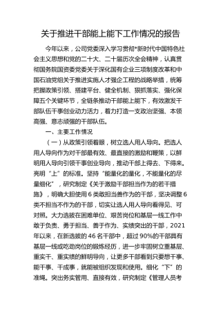 国企公司推进干部能上能下工作情况总结报告