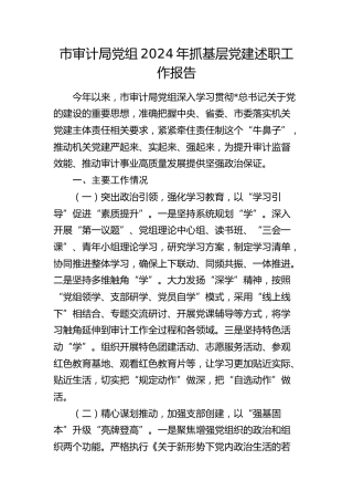 市审计局党组2024年抓党建述职报告2200字