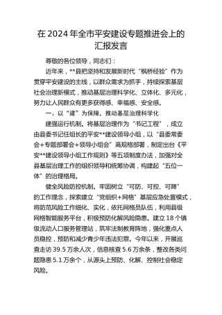 全市平安建设专题推进会上的汇报发言