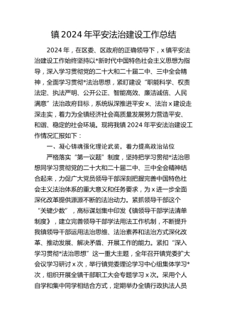 乡镇平安法治建设工作总结