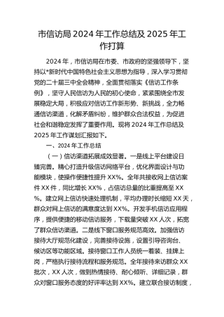 市信访局2024年工作总结7300字