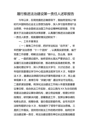 履行推进法治建设第一责任人述职报告