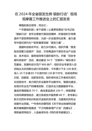 在全省银发生辉·银龄行动” 现场观摩暨工作推进会上的汇报发言