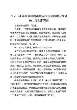在全省共同富裕先行示范县建设推进会上的汇报发言