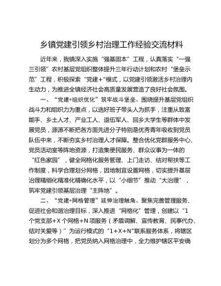 乡镇党建引领乡村治理工作经验总结交流
