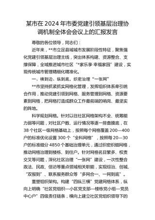 市在市委党建引领基层治理协调机制全体会会议上的汇报发言